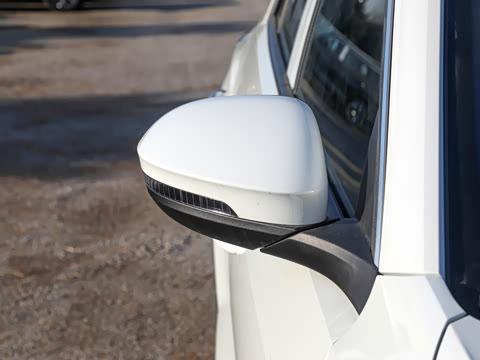 2026�� 300TSI DSG���������