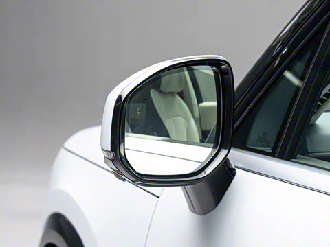 2025�� Max�� 55kWh