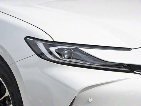 2026�� ˫�� 2.5HG ����