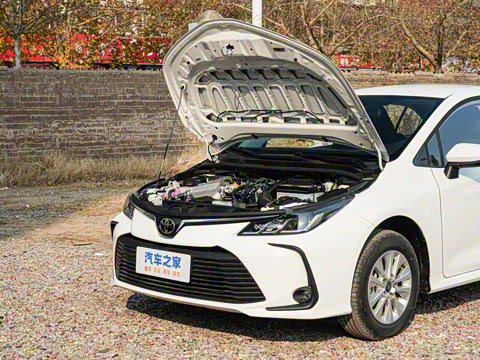 2025�� 1.2T �ȷ��