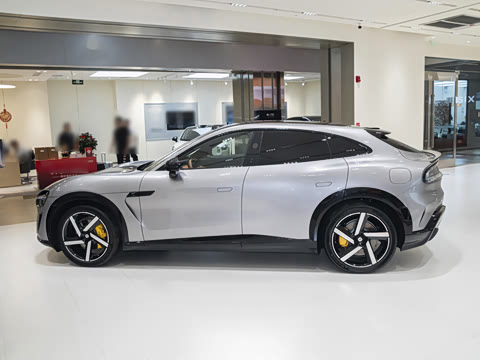 2025�� ������������Pro��