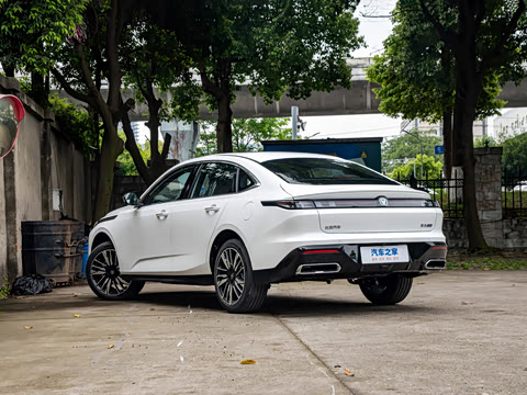 2026�� 1.5L �������� ������