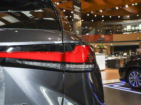 2025�� 300 ����������