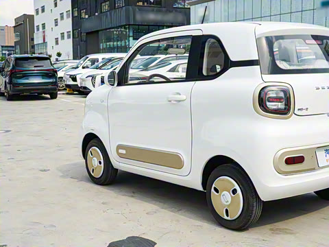 2026�� 222km ��ҫ��