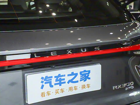 2025�� 300 ����������