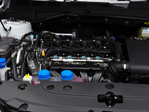 2026�� 1.5L �������� ������