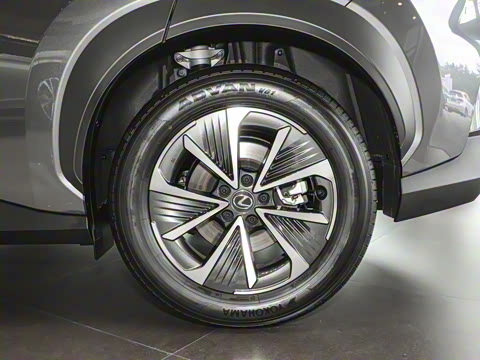 2023�� 450e ����������