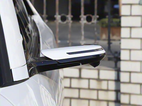 2025�� ����600 Max