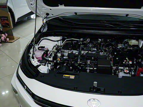 2026�� 1.8L ˫�� �ȷ��