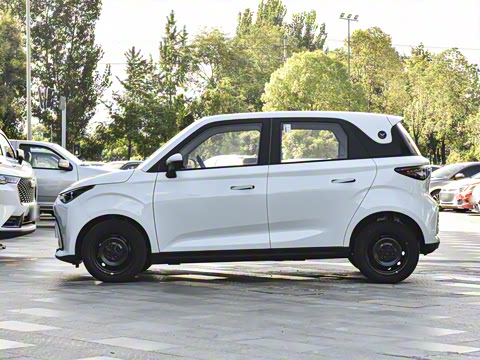 2026�� Mate 201km �����