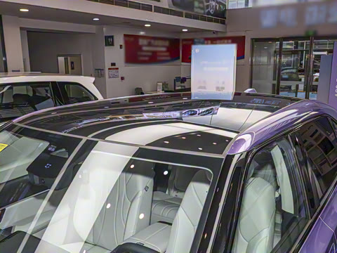 2025�� ����������Pro