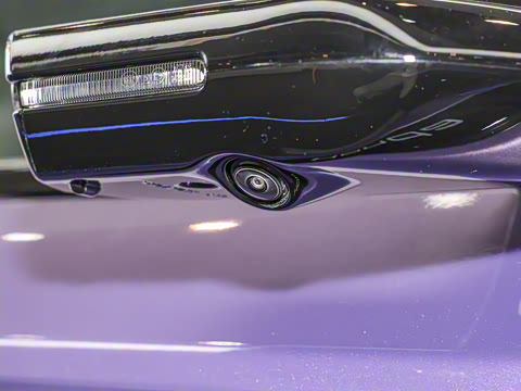 2025�� ����������Pro