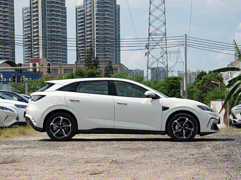 2025�� �Ǽݰ� 505���˰�