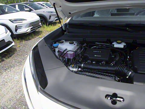 2025�� DM-i 121�캽��