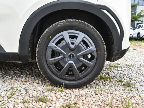 2026�� 305km ������