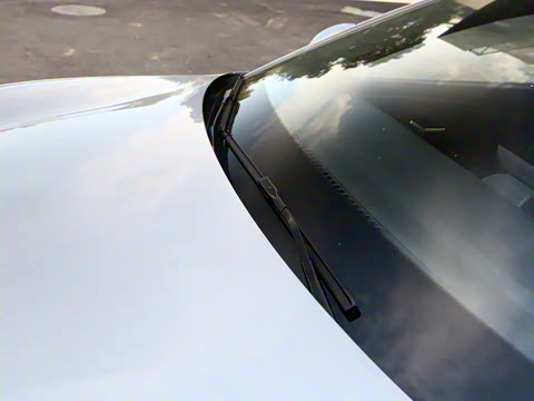 2025�� 520�ǻݳ��а�