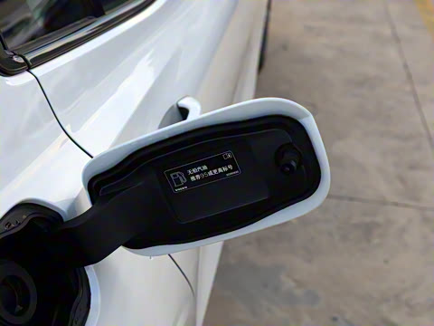 2026�� B4 ��Զ�˶���