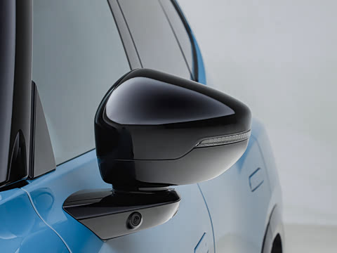 2026�� ˫���