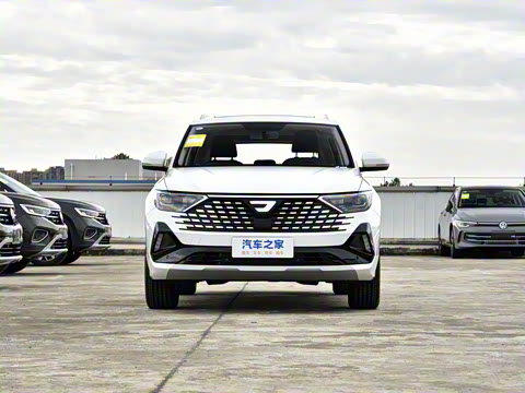 2026�� 280TSI �Զ��ȷ��