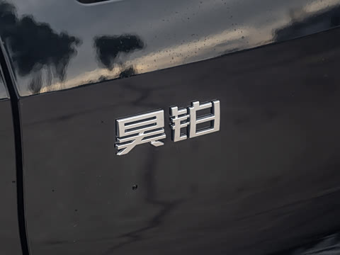 2026�� ���� 230 Max