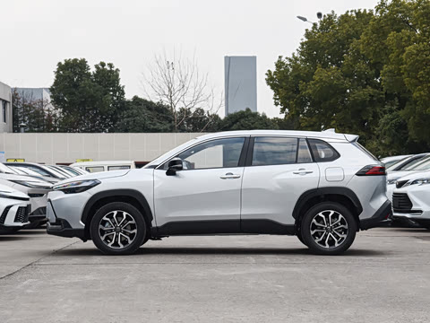 2026�� 2.0L ���ܵ��˫�� ������