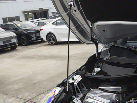 2026�� 2.0L ���ܵ��˫�� ������