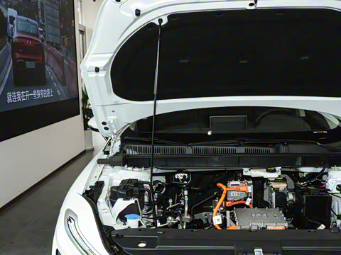 2025�� 500km ���а�