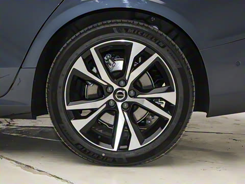 2026�� B5 �����˶���