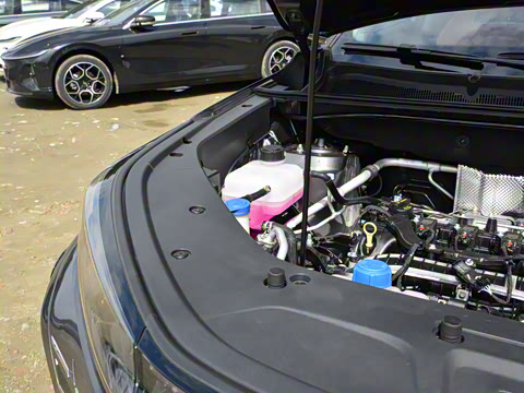 2026�� �ǻ۹ھ��� 1.5T ������ ������