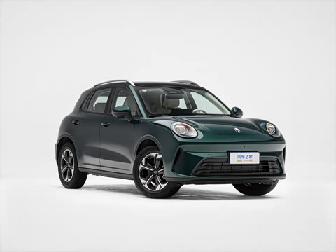 2026�� 1.5T  Max��