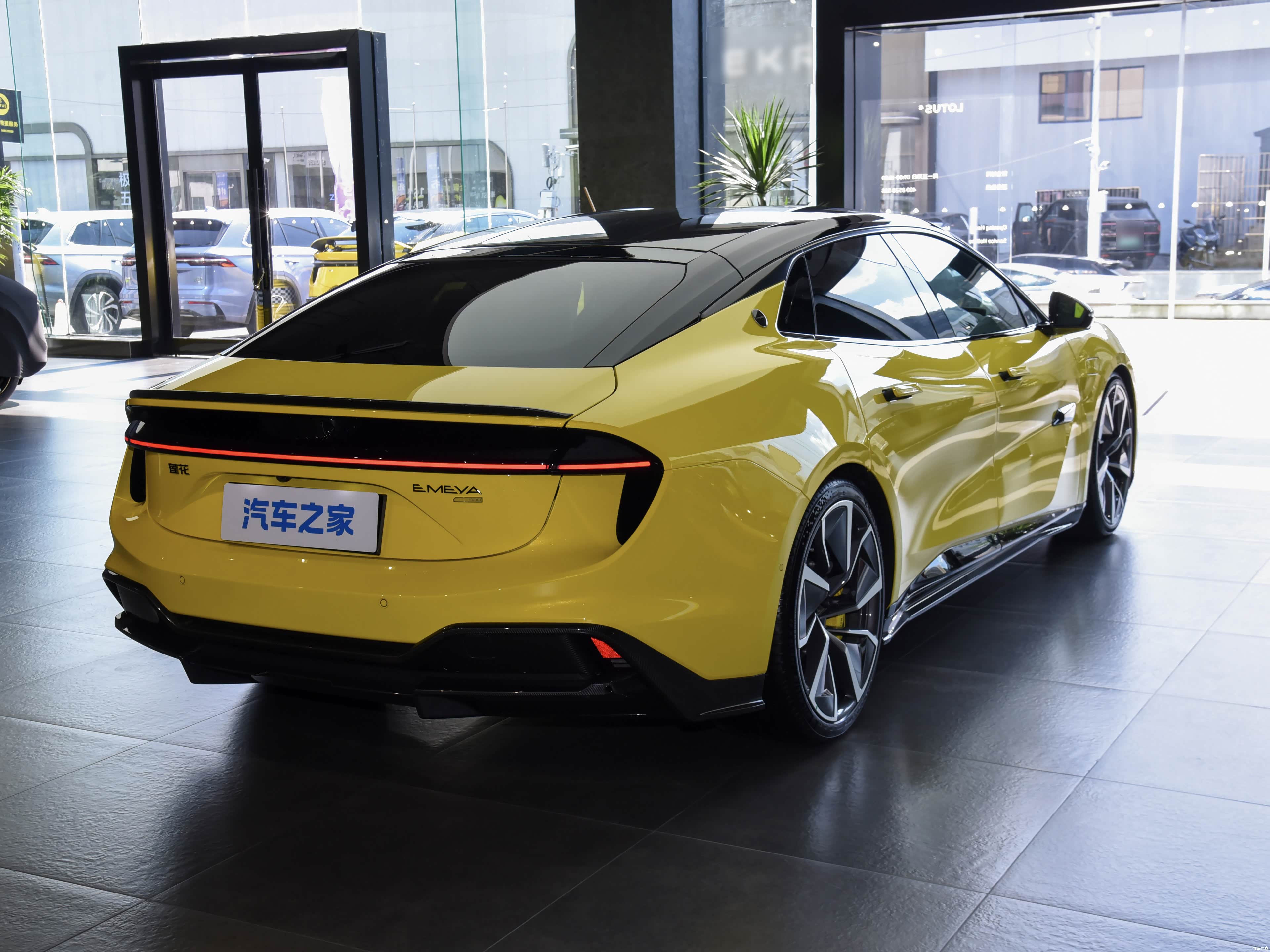 Lotus Emeya, миниатюра 7