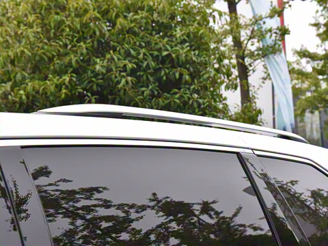 2026�� 2.5L ˫�����������