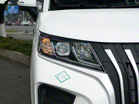 2026�� 2.0L �ֶ����������� 7�� CNG