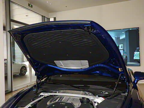 2024�� 4.0T GT V8