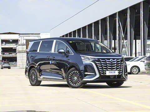 2025�� DM-i ��������