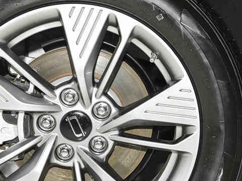 2025�� 565km �����