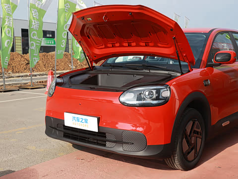 2026�� 310�Ȱ���