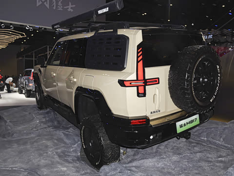 2025�� Max+
