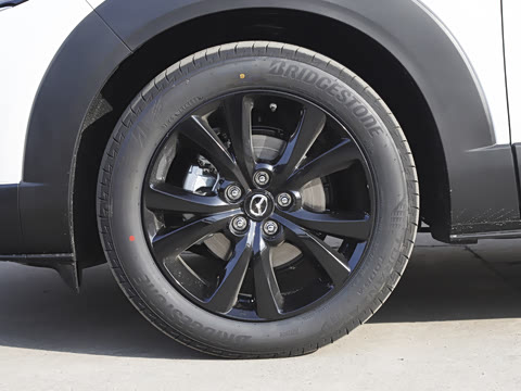 2025�� 2.0L �Զ�������