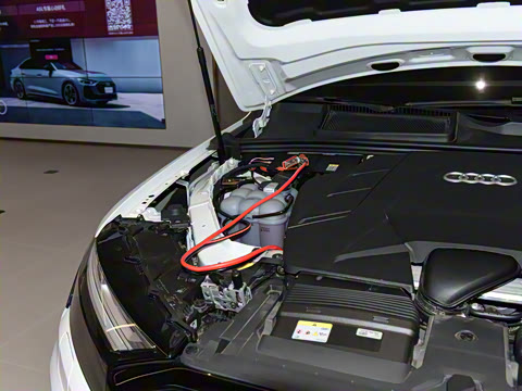 2025�� 55 TFSI quattro S line����ʿ��