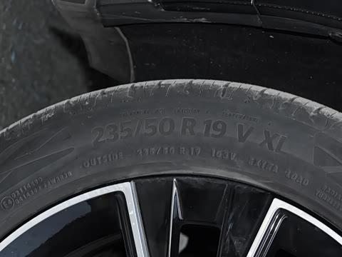 2026�� Max������