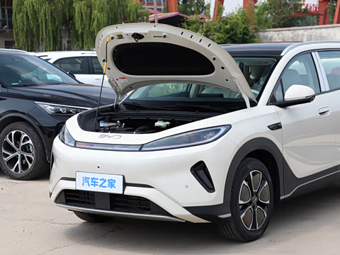 2026�� DM-i 220�캽��