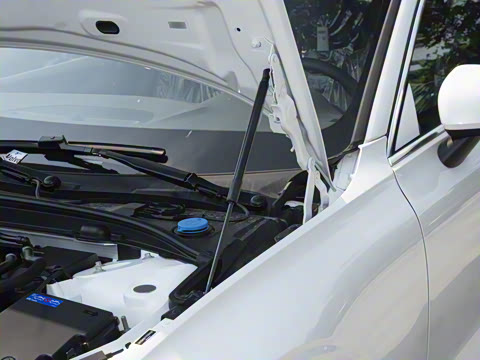 2026�� B4 ���ݺ�����