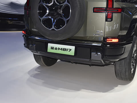 2025�� Pro