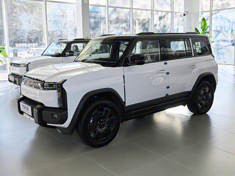 2025�� 520���������