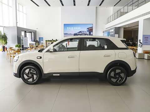 2026�� 310������