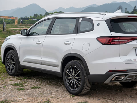 2026�� �ھ��� 290T ���������� 7��