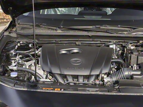 2025�� 2.0L �Զ����Ű�