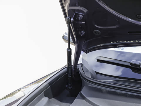 2026�� Max ˫��������