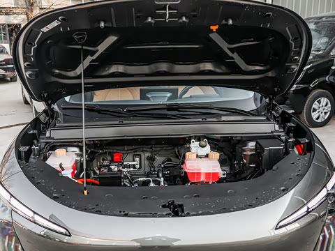 2026�� 530km ������